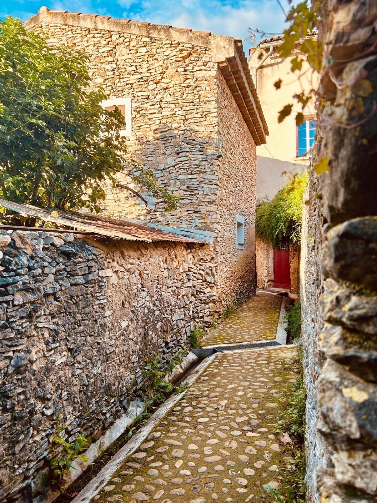 Hotel La Sarrasine Villes-sur-Auzon Exterior foto